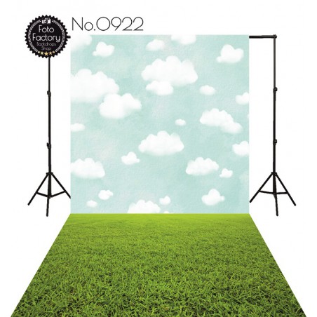 Backdrop 922