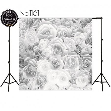 Backdrop 1161