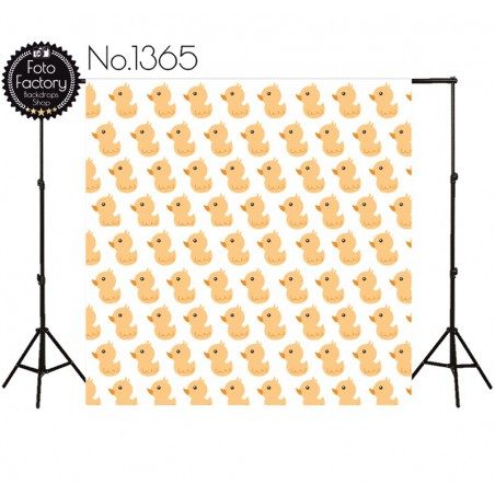 Backdrop 1365