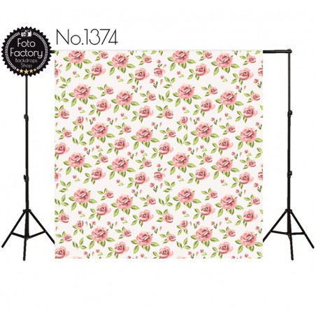 Backdrop 1374