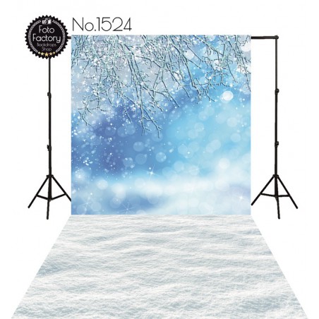 Backdrop 1524