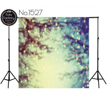 Backdrop 1527