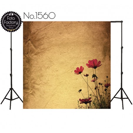 Backdrop 1560