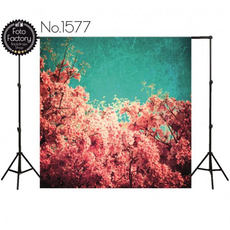 Backdrop 1577