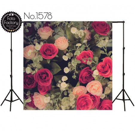 Backdrop 1578