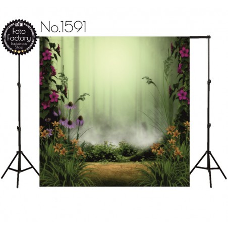 Backdrop 1591