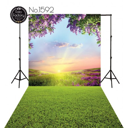 Backdrop 1592