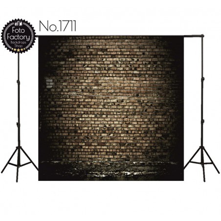 Backdrop 1711