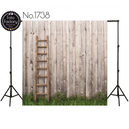 Backdrop 1738