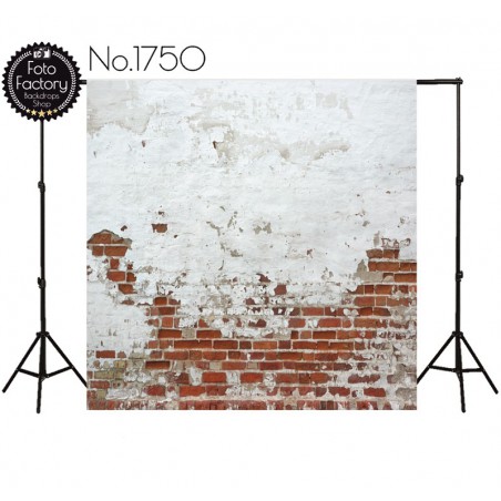 Backdrop 1750