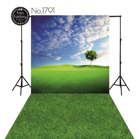 Backdrop 1791