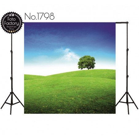 Backdrop 1798