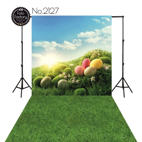 Backdrop 2127