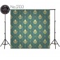 Backdrop 2133