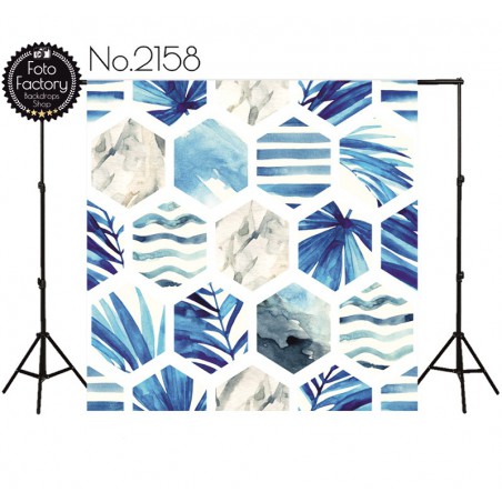 Backdrop 2158