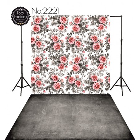 Backdrop 2221