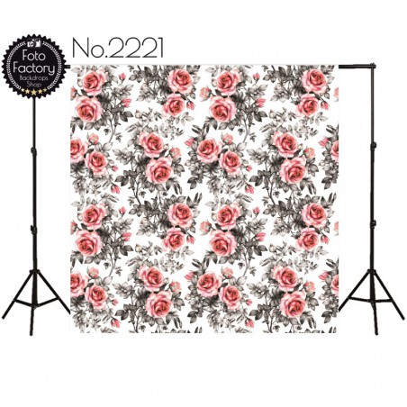 Backdrop 2221