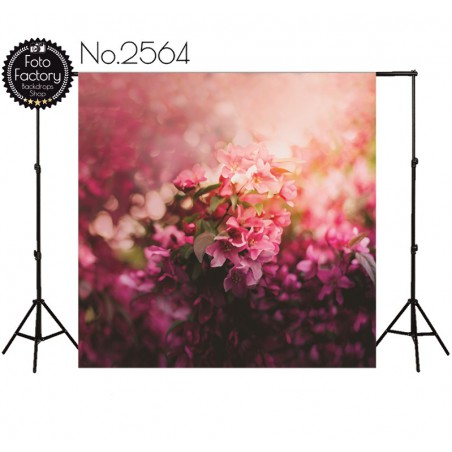 Backdrop  2564