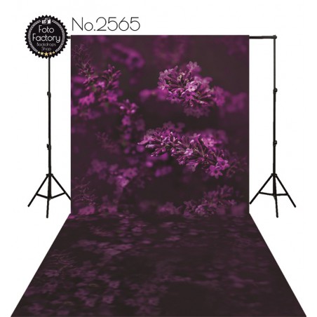 Backdrop 2565