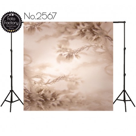 Backdrop 2567