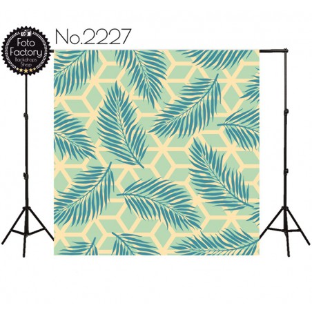 Backdrop 2227