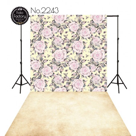 Backdrop 2243