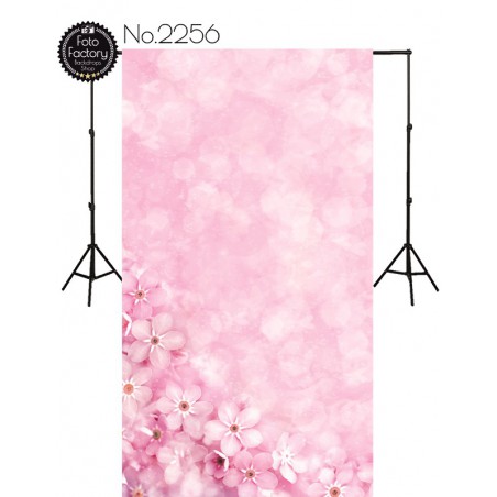 Backdrop 2256