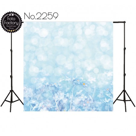 Backdrop 2259