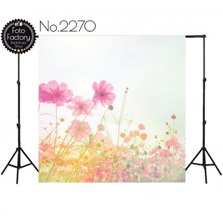 Backdrop 2270