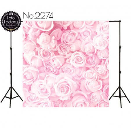 Backdrop 2274