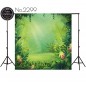 Backdrop 2299