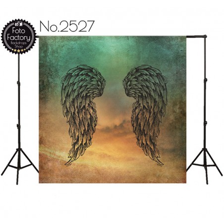 Backdrop 2527