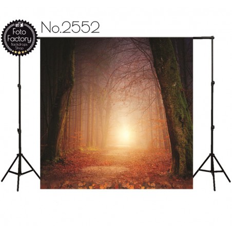 Backdrop 2552