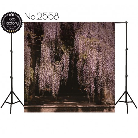 Backdrop 2558