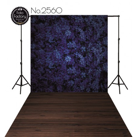 Backdrop 2560