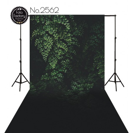 Backdrop 2562