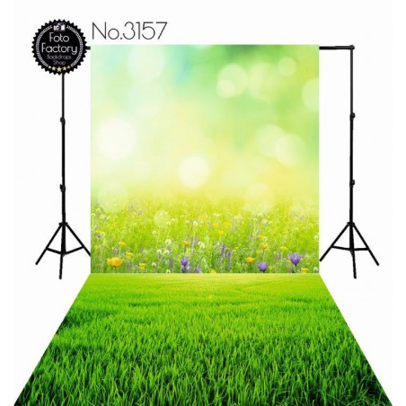 Backdrop 3157