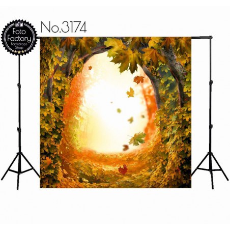 Backdrop 3174