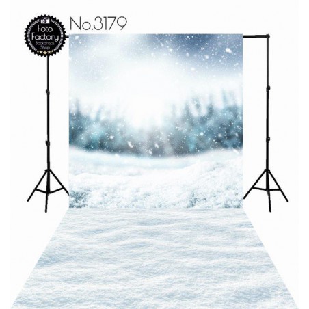 Backdrop 3179