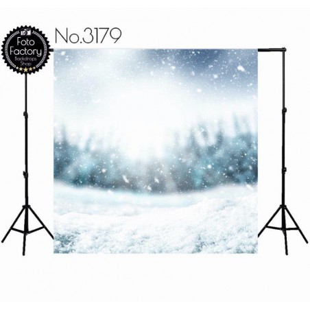 Backdrop 3179