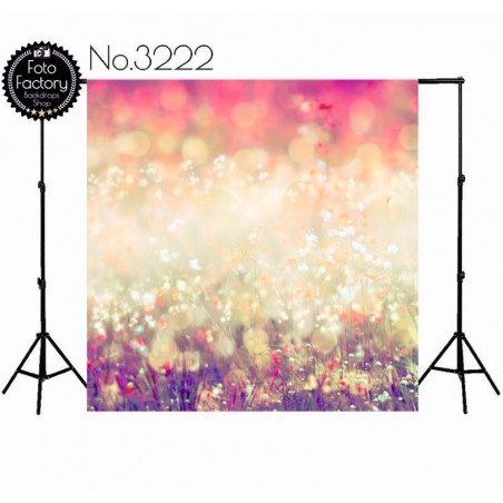 Backdrop 3222