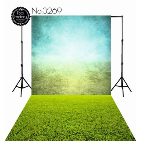 Backdrop 3269