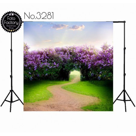 Backdrop 3281