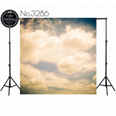 Backdrop 3286