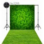 Backdrop 3298