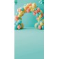 Backdrop balloons decoration 3799