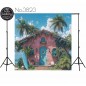 Backdrop pink cottage palm trees 3823