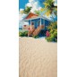 Backdrop beach house 3826