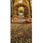 Backdrop autumn theme 3920