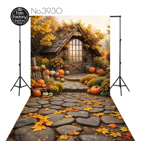 Backdrop autumn theme 3930